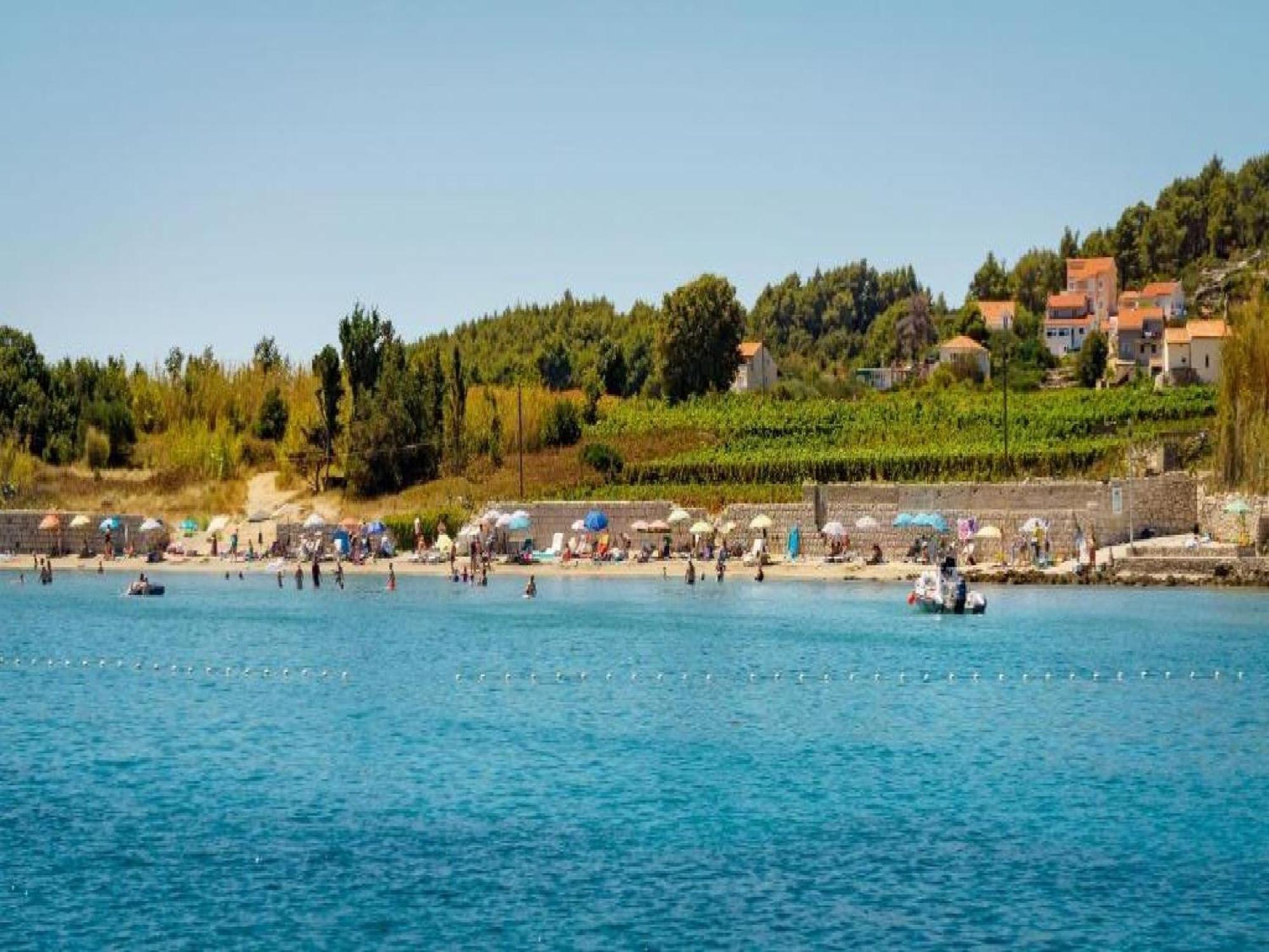 Lumbarda Resort Apartments Номер фото